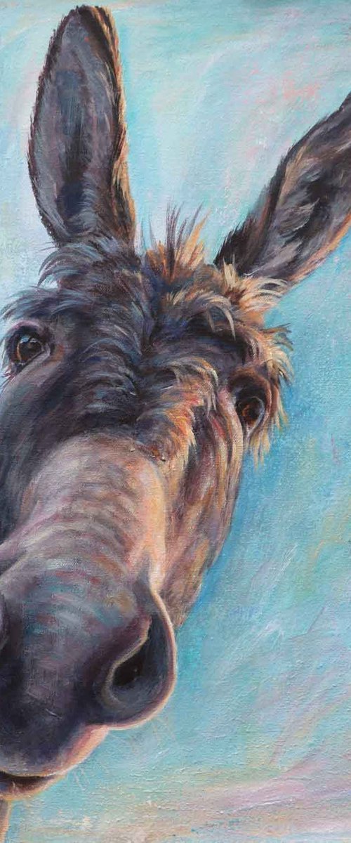 Dominic Donkey by Ruth  Aslett