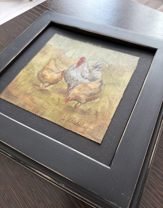 Rooster and hens