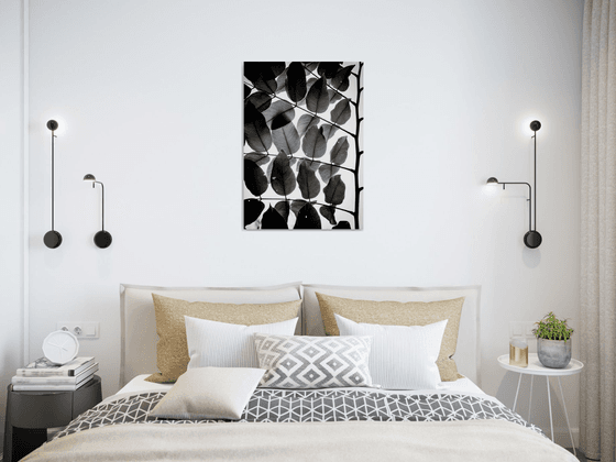 Branches and Leaves III | Limited Edition Fine Art Print 1 of 10 | 40 x 60 cm