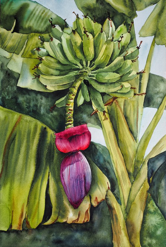 "Bananas" - original tropical green watercolor