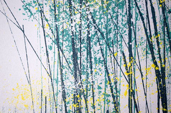 Light Through Spring Trees