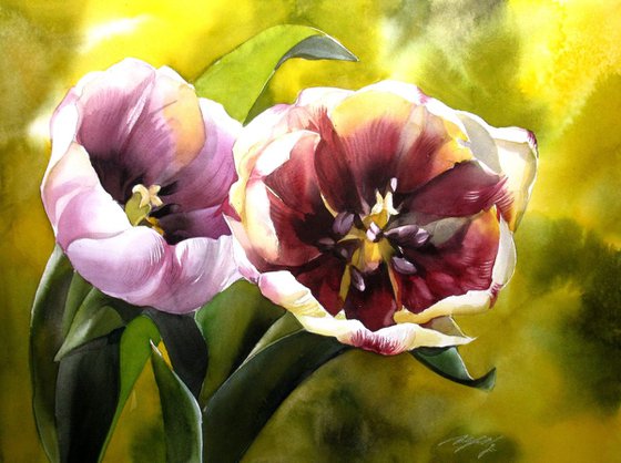 springtime with tulips