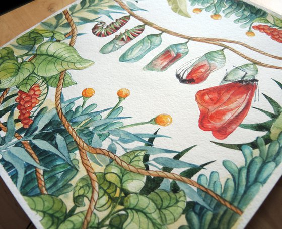 Watercolor illustration with butterflies.