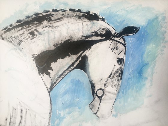 touch - horse portrait study