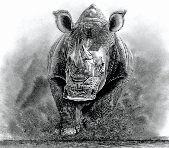 Charging Rhino