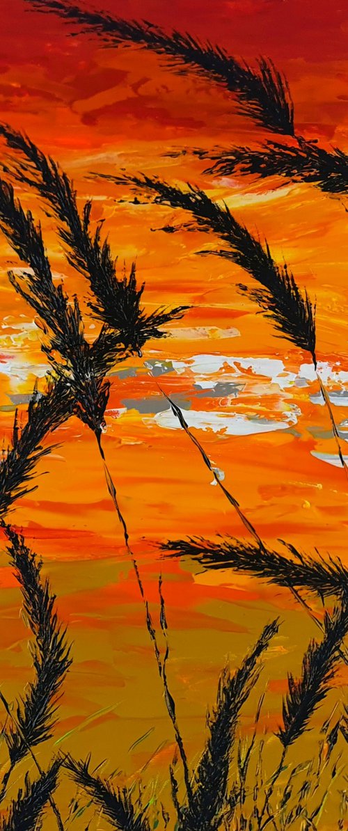 Grass in Gold by Daniel Urbaník