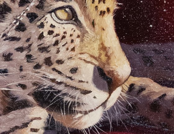 Princess leopard portrait