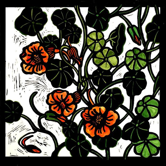 Orange Nasturtiums