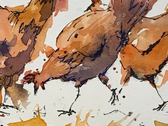 Busy Hens