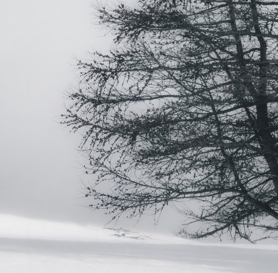 White Italian Scape #9