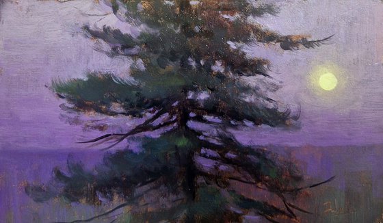 Pine Tree Study