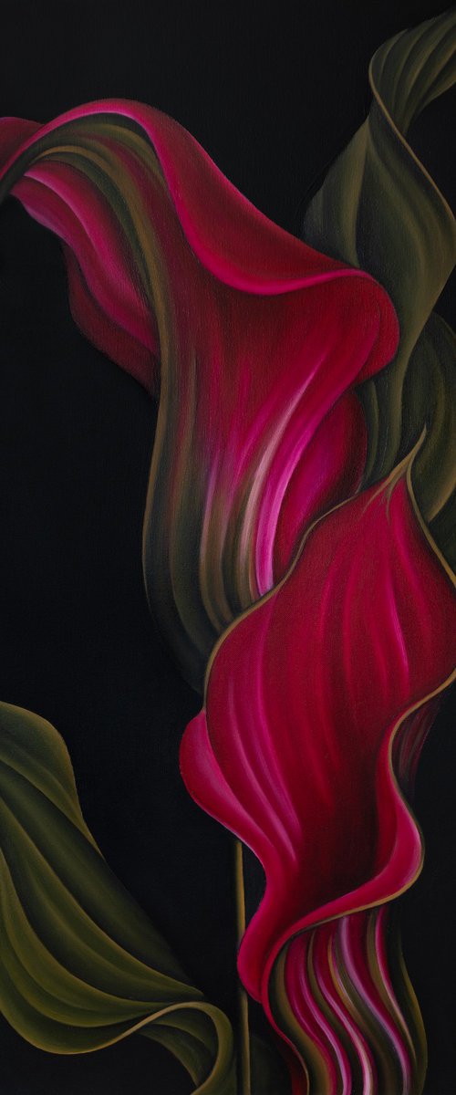 Two Callas by Dom Holmes