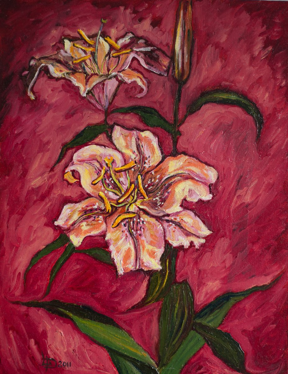 Lilly Flower by Liudmila Pisliakova