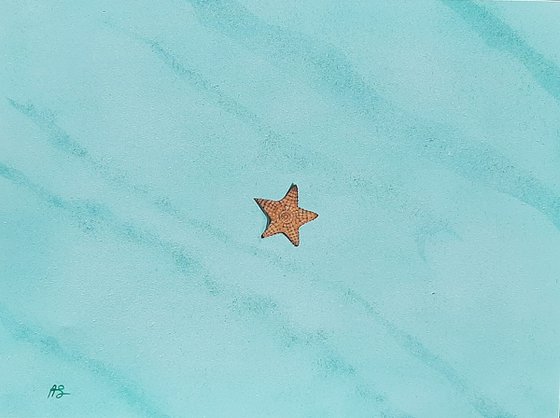 Starfish in Emerald Sand