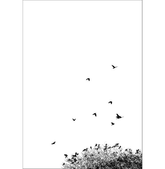 Crows Ascending -  24 x 36"