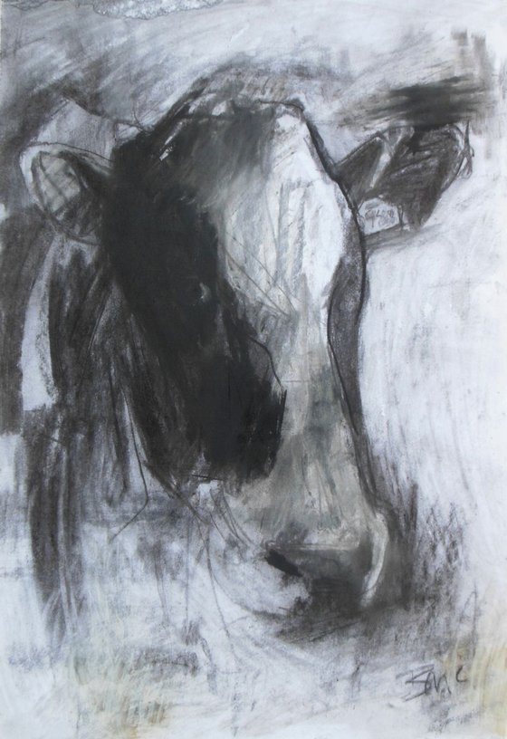 Cow Drawing III
