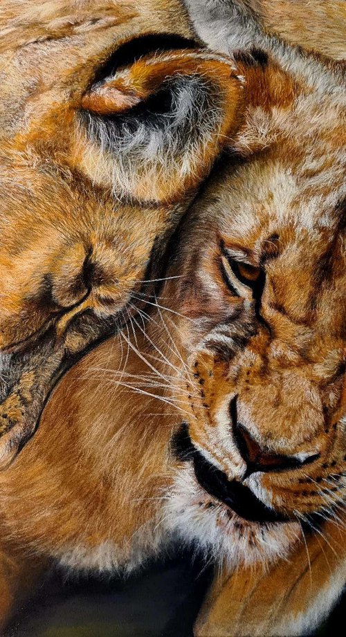 ,, Kittens'' realism Lions pastel on pastelmat by Deimante Bruzguliene