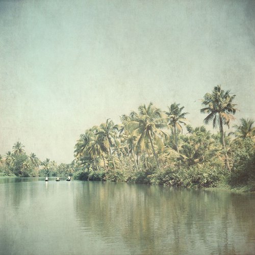 Backwaters by Nadia Attura