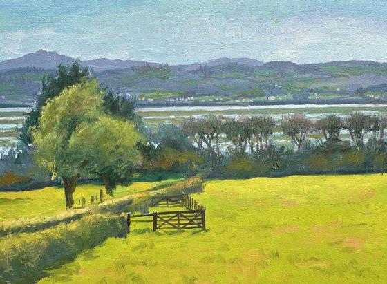Dee Estuary