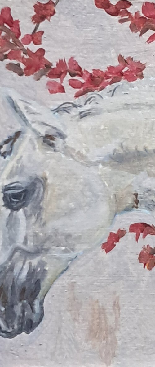 caballo blanco by Bonifacio Contreras Tovar.