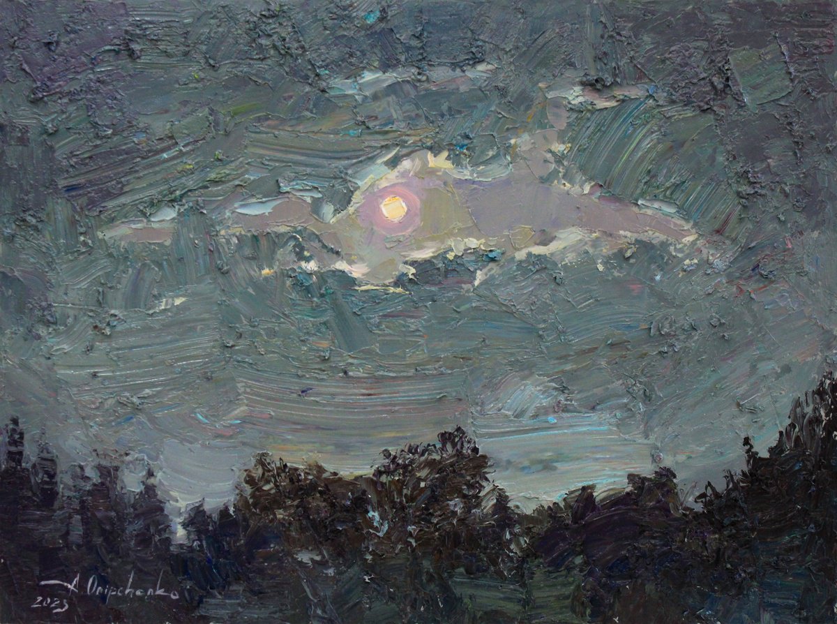 Night In Gray By Alisa Onipchenko-Cherniakovska, 16 X 12, Artwork For Sale On Artfinder