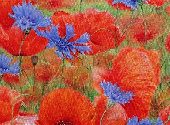 Poppies with cornflowers.