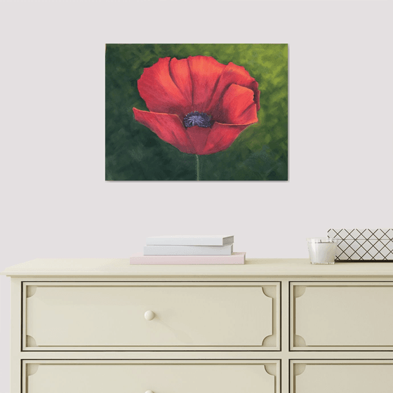 Red Poppy