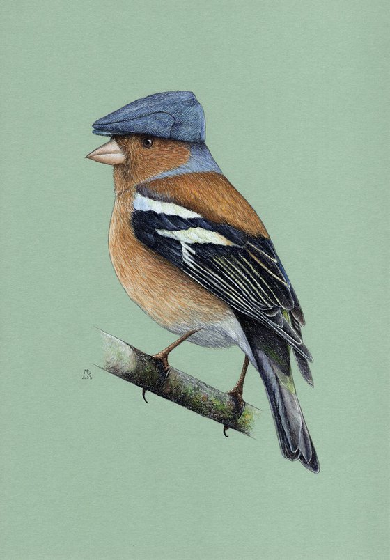 Original pastel drawing bird "Common chaffinch"