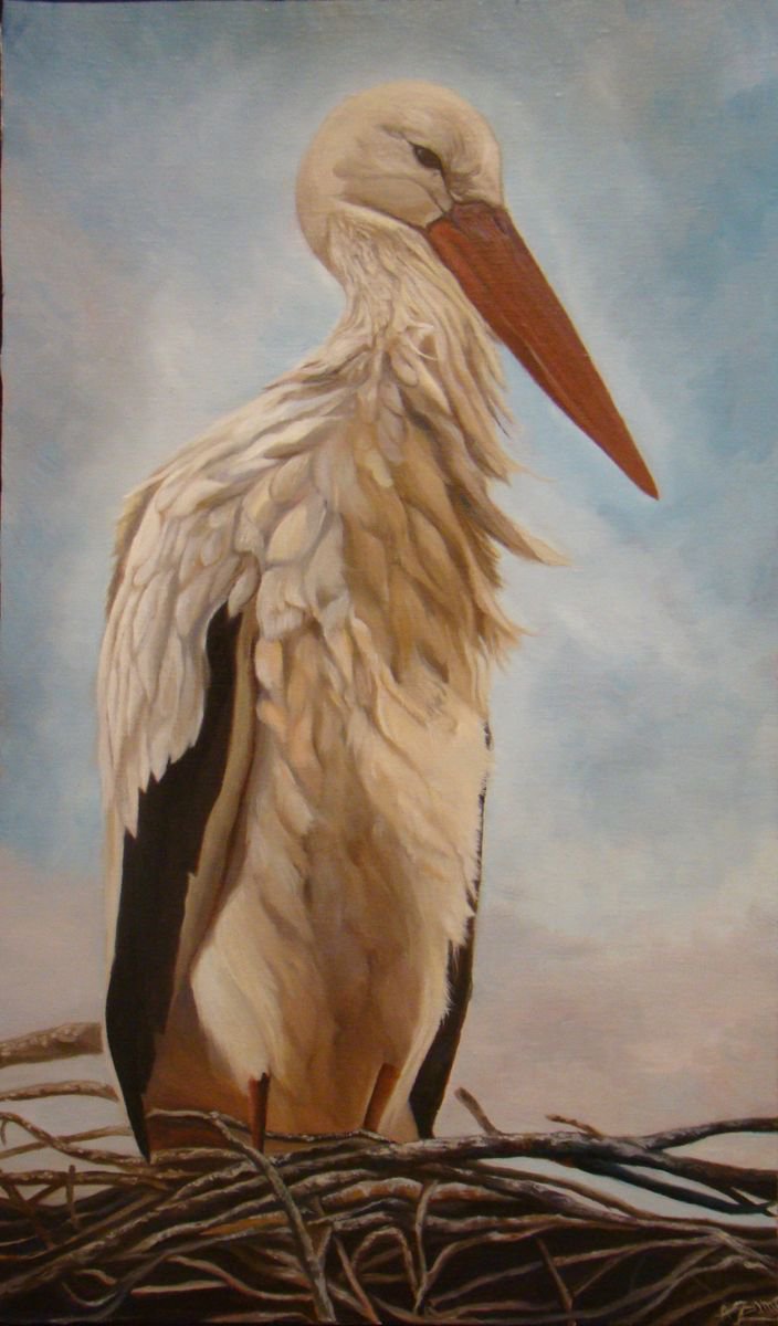 Portrait of Ciconia, Original Oil Painting by Anne Zamo by Anne Zamo
