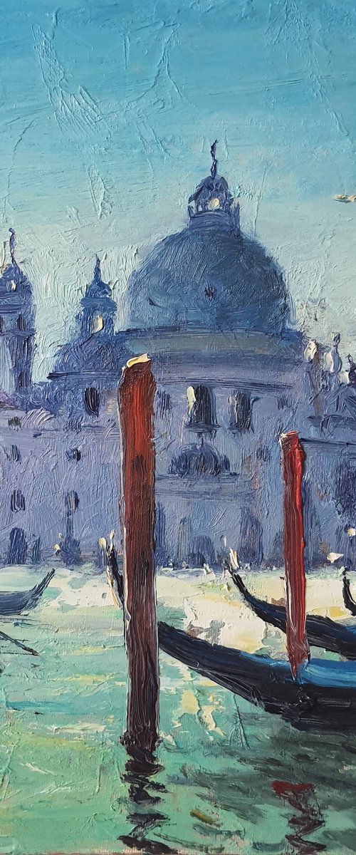 Venice La Salute by Roberto Ponte