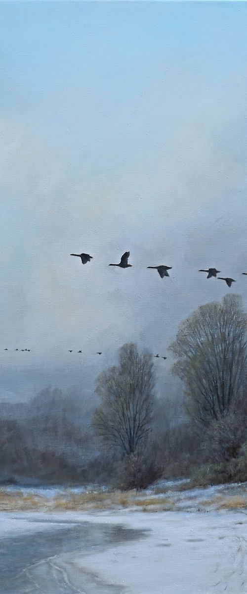 Geese on the run. by Gerard Kramer