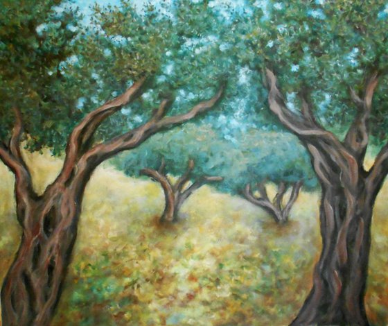 Olive trees