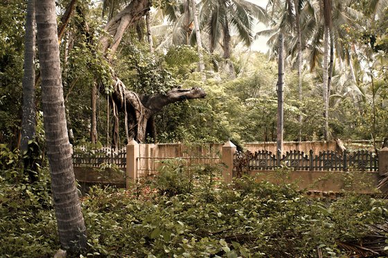Beside Majorda Beach Road