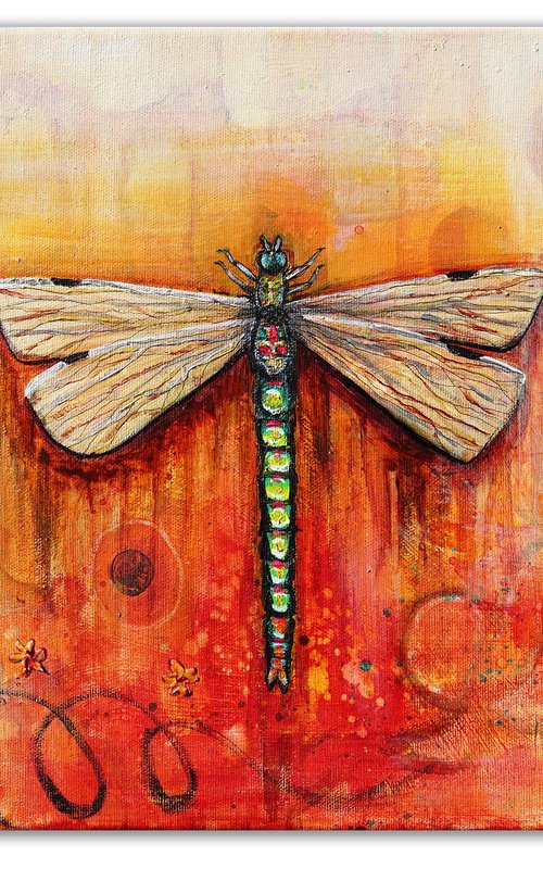 Dragonfly by Amanda Dagg