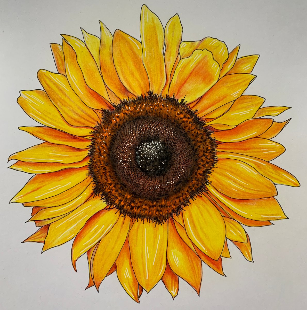 Painting , Sunflower By Karen Elaine Evans, 10 X 10, Artwork For Sale On Artfinder