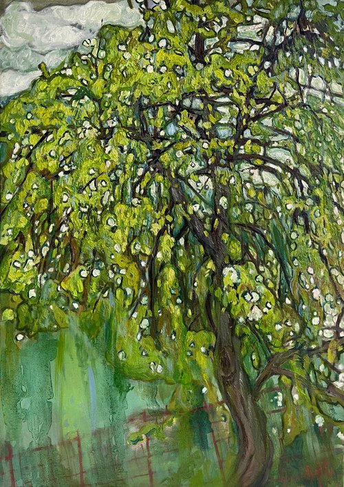 "Pear tree'' by Raffi Ghazaryan