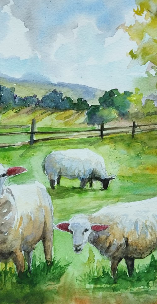 Scottish landscape with sheep by Ann Krasikova