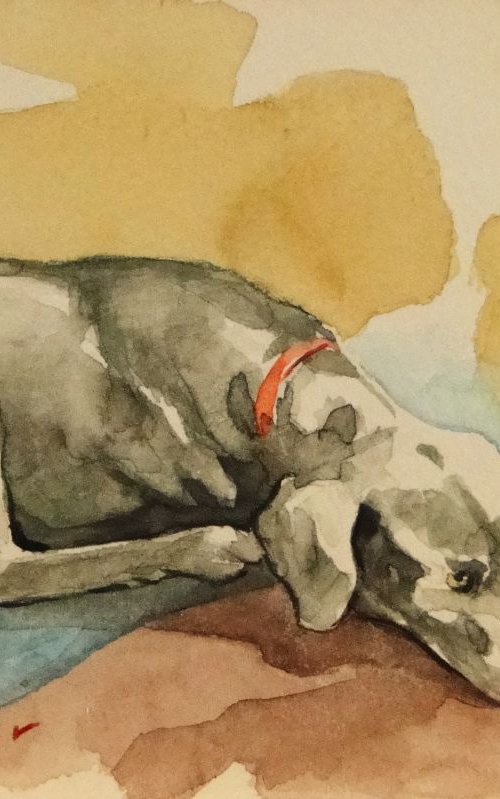 Grey Dog by Rick Paller