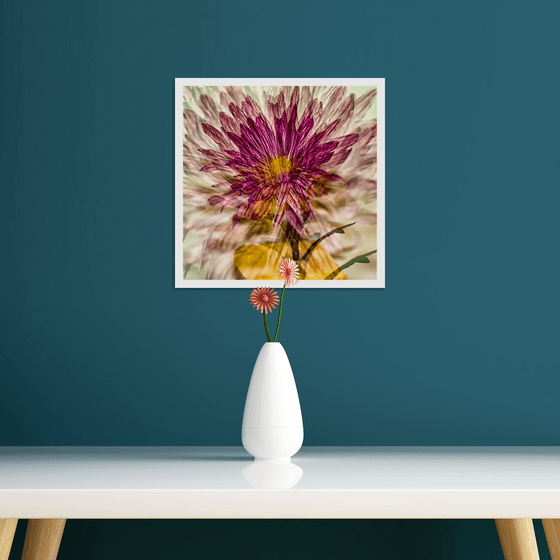 Abstract Flowers #2. Limited Edition 1/25 12x12 inch Photographic Print.