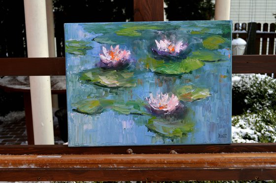 Water lilies