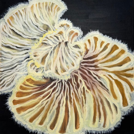 Fungi#007