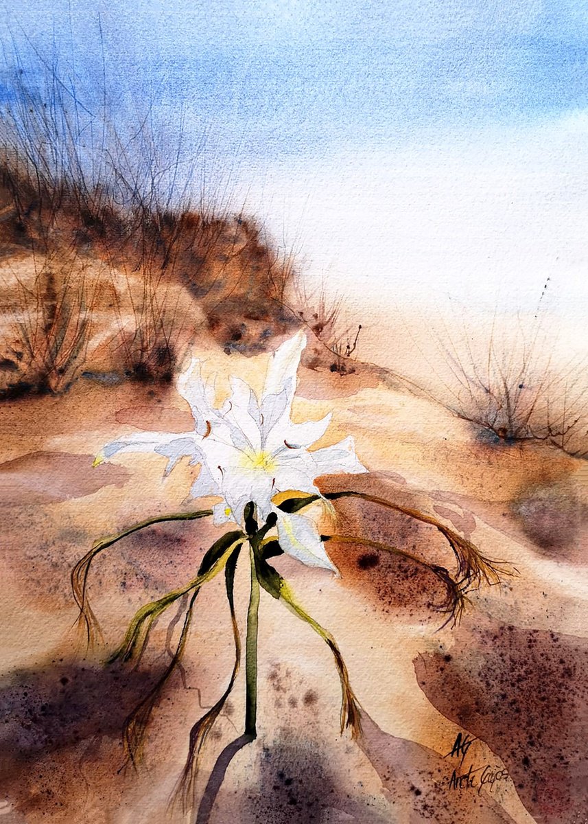 Impressionistic Botanical Watercolour By Aneta Gajos, 12 X 17, Praia Azul Flower, Original Artwork