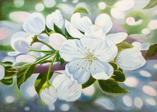 Apple tree blossoms by Vera Melnyk by Vera Melnyk