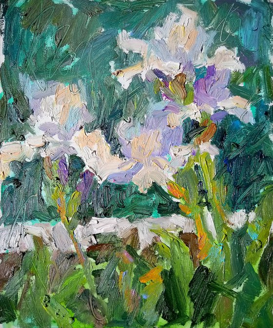 Irises/2022