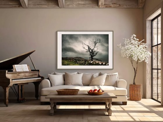 Melancholy in the Highlands