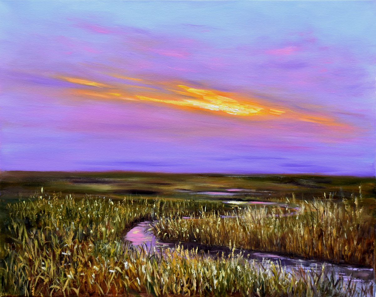Sunset over a Marsh by Yulia Nikonova