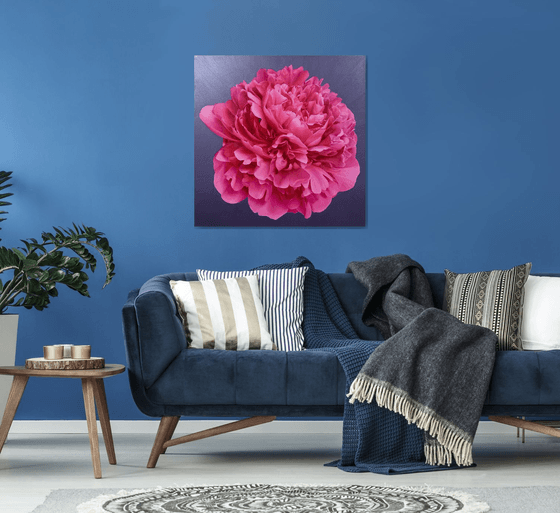 Magenta Delight