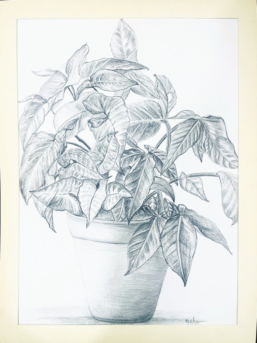 Impressionistic Pencil Drawing , Foliage By Neha Soni, 12 X 16, Artwork For Sale On Artfinder