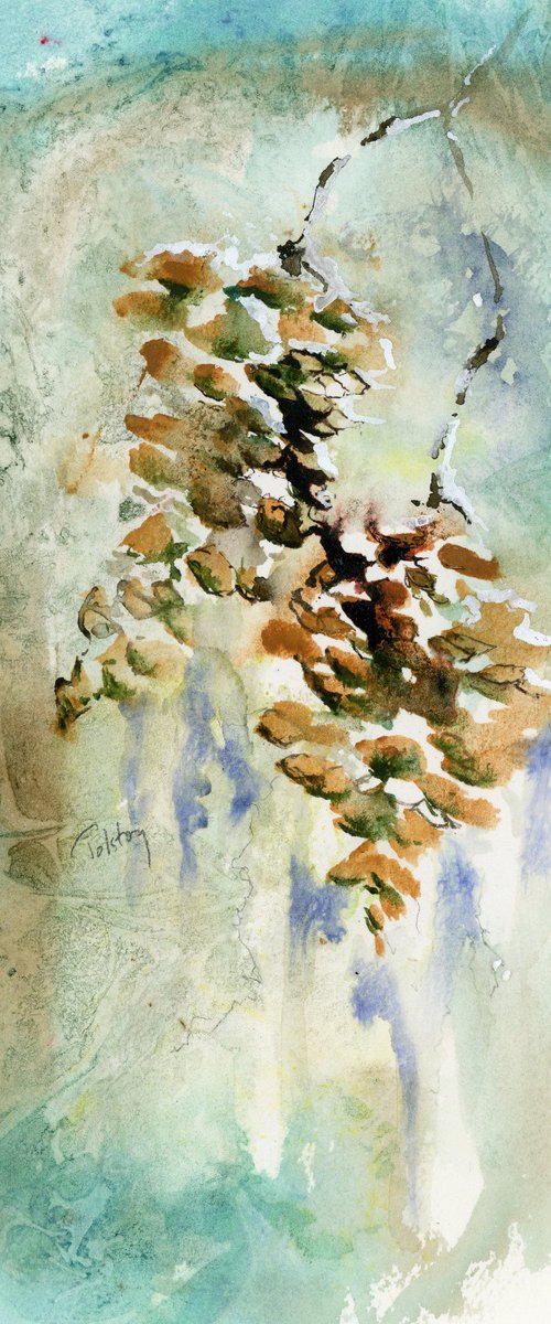 Snowy Pinecones by Alex Tolstoy
