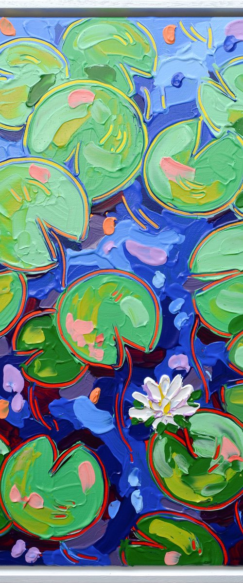 Tasman Lily Pond 33 by Joseph Villanueva